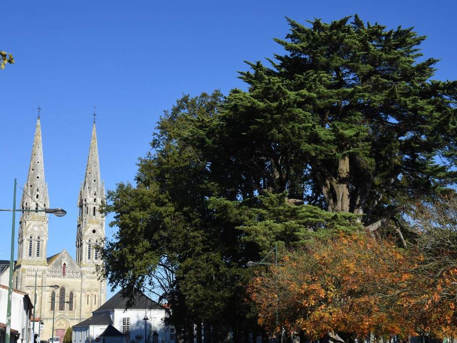Église de Machecoul-Saint-Même